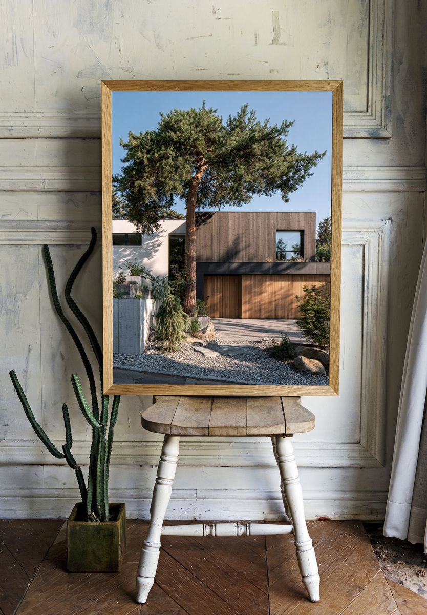 Modern House in Pines Photography Poster. — room view 1