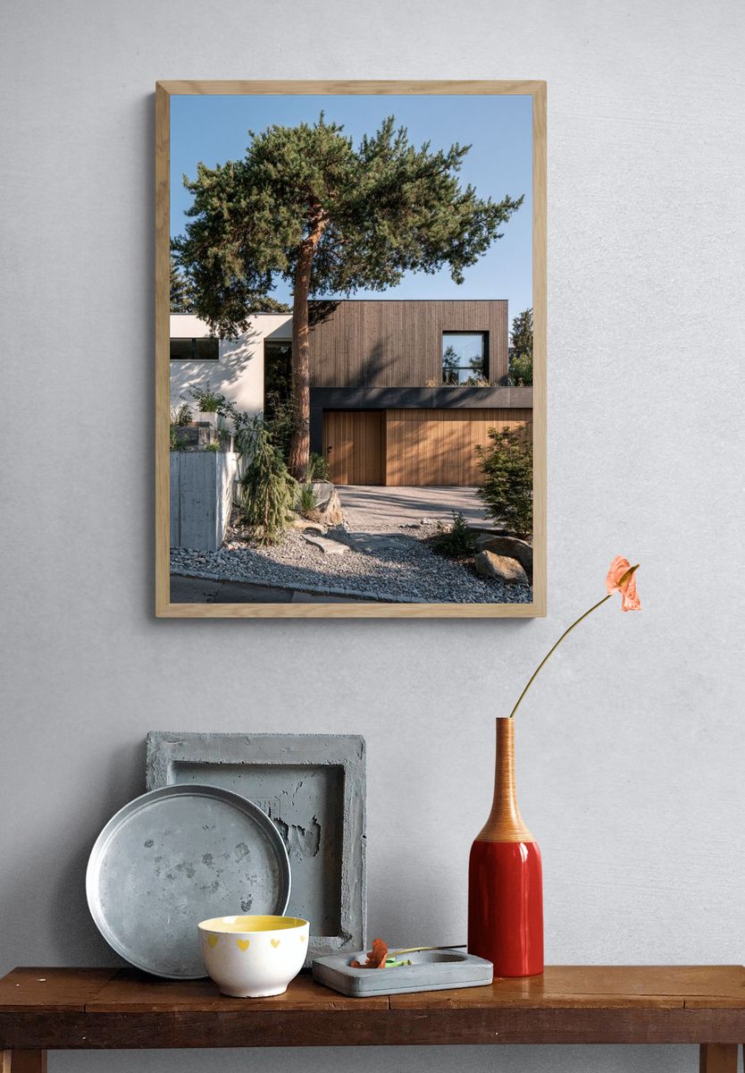 Modern House in Pines Photography Poster. — room view 3