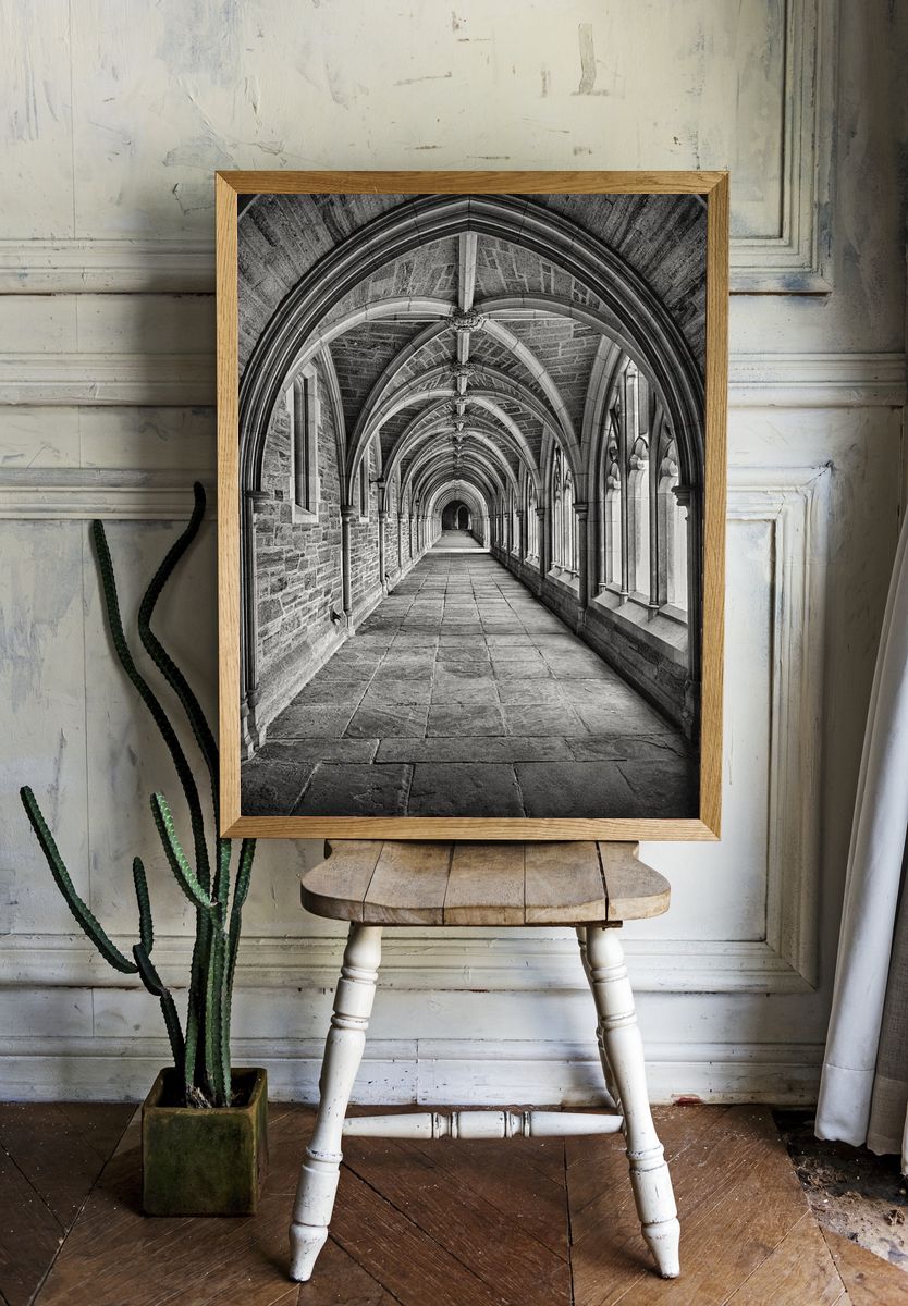 Corridor black white. — room view 1