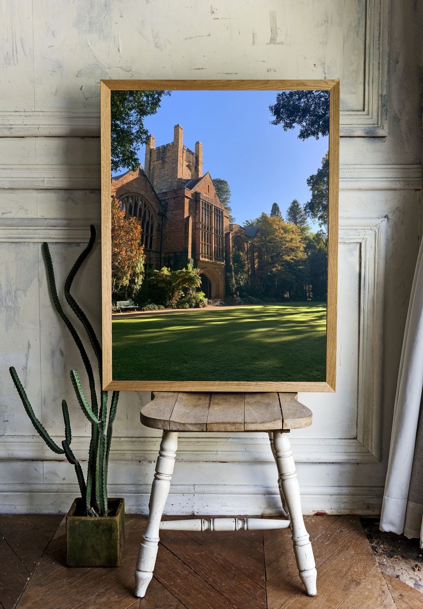 Historic Stone Courtyard Architecture Poster. room preview