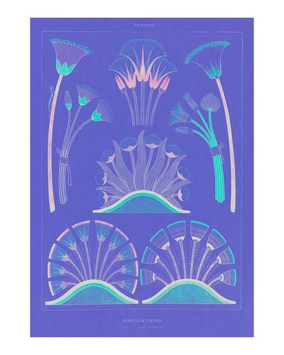 Purple Egyptian plants flowers vintage. poster print