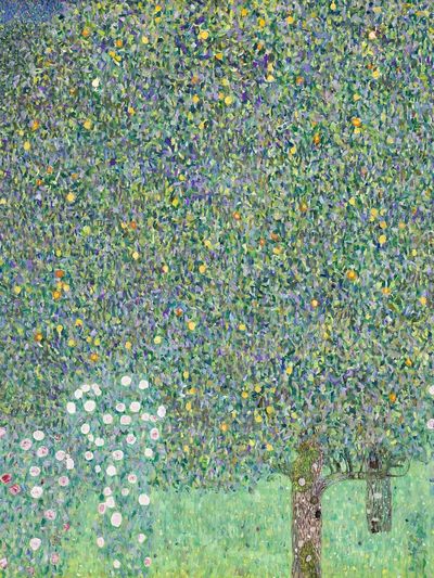 Rosebushes under the Trees by Gustav Klimt (1905) — Art Print. poster print