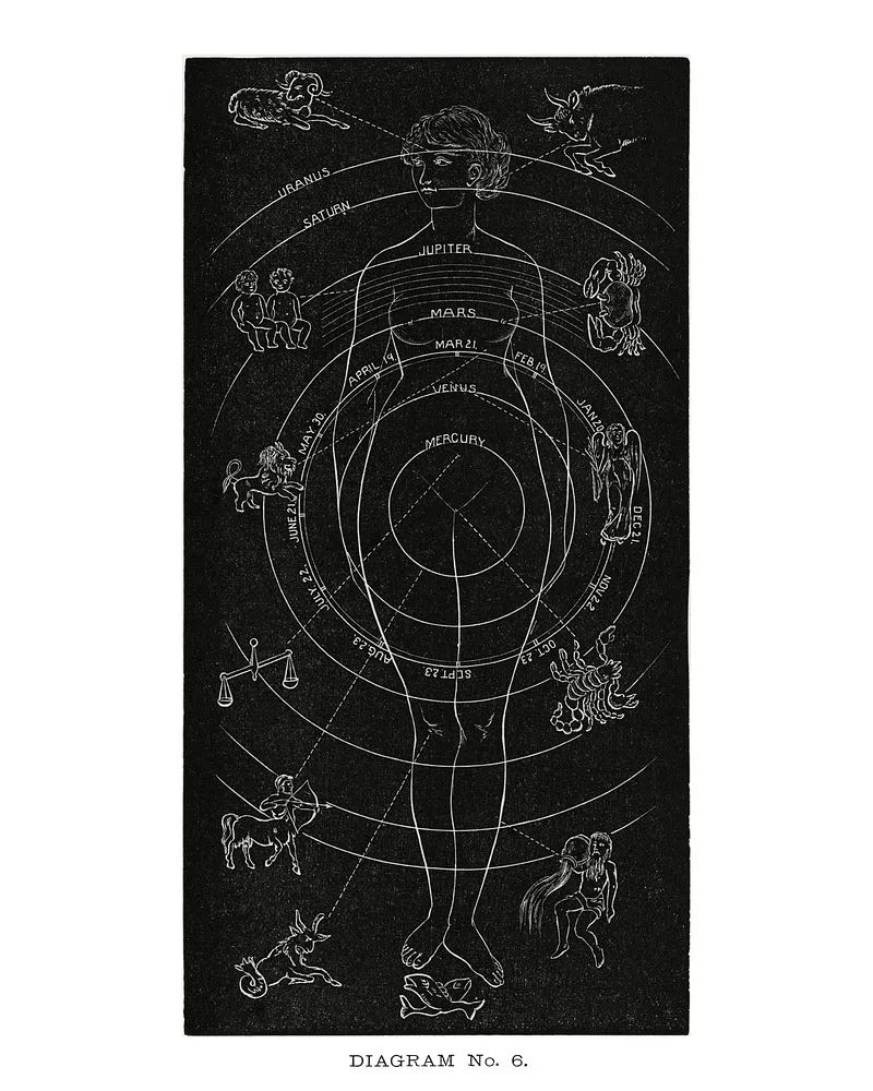 Astrological Diagram — Vintage Print. poster — vintage art