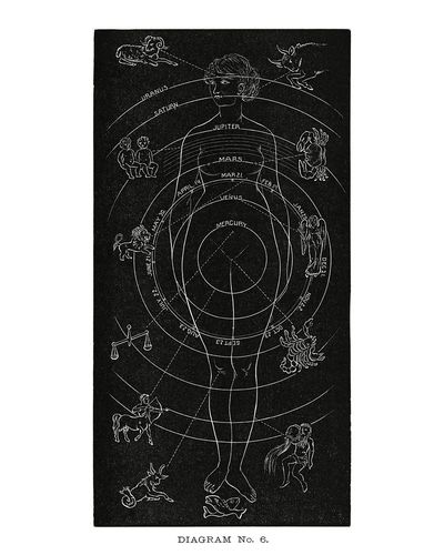 Astrological Diagram — Vintage Print. poster print