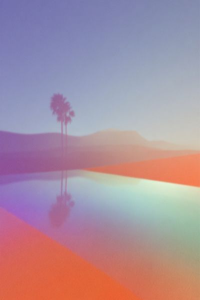 Palm Tree Reflection — Abstract Print. poster print