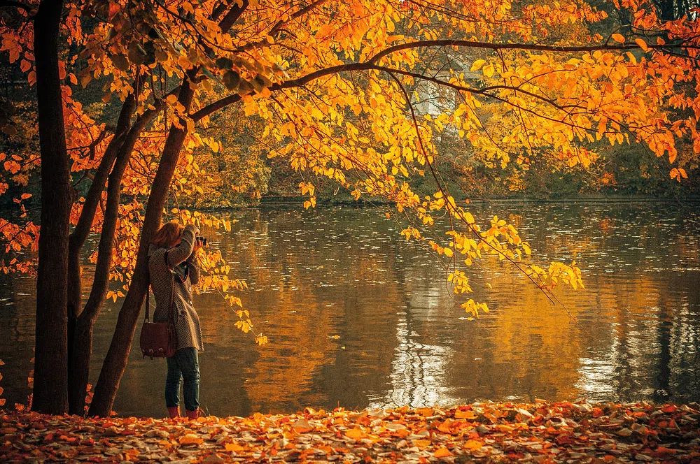 Autumn Reflections — Photography Print. poster detail