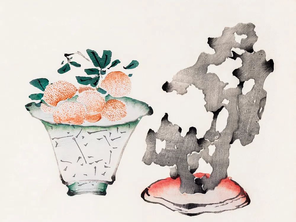 Abstract Fruit Still Life Print. poster — illustration art