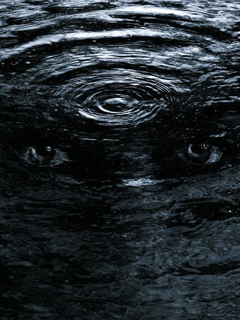 Dark Water Ripples Abstract Poster. poster detail