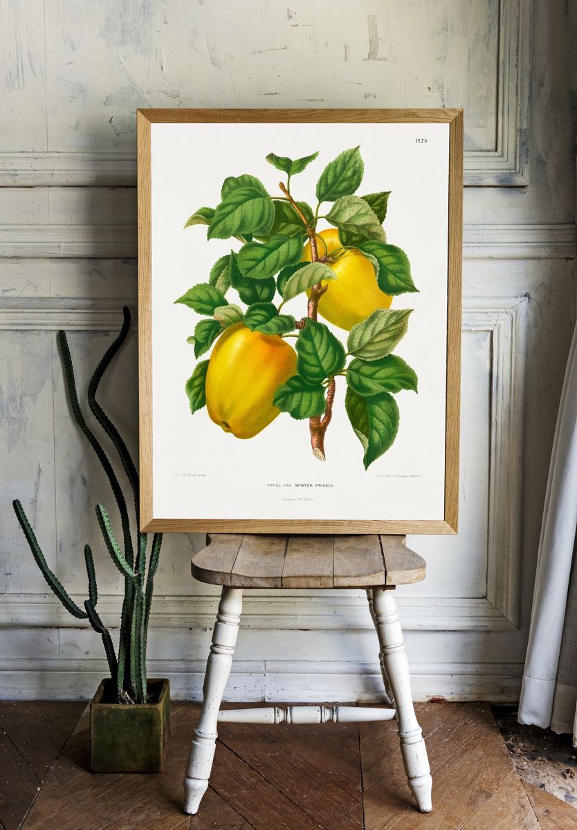 Winter Princess Apple Botanical Print room preview