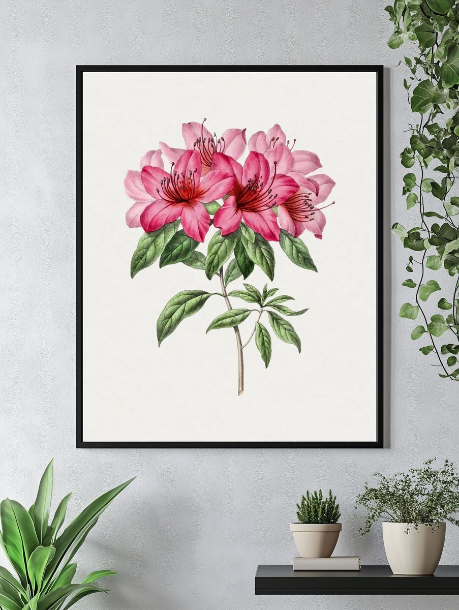 Pink Azalea Botanical Print. — room view 4