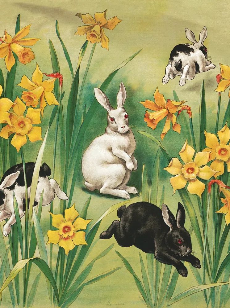 Bunnies and Daffodils — Vintage Print. poster detail