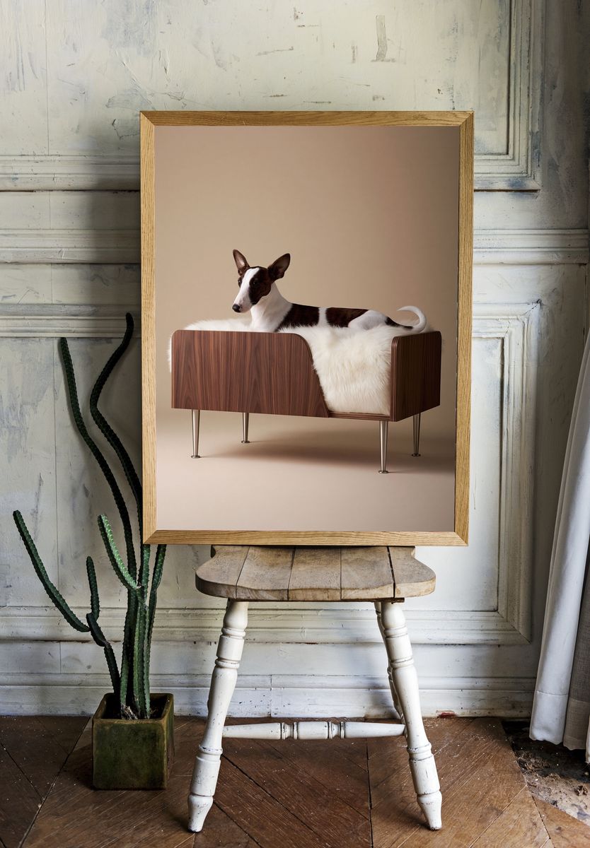 Basenji in Modern Chair Poster. — room view 1