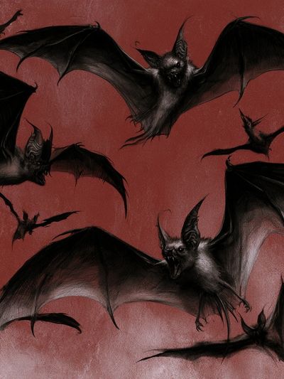 Flying Bats Illustration Poster.