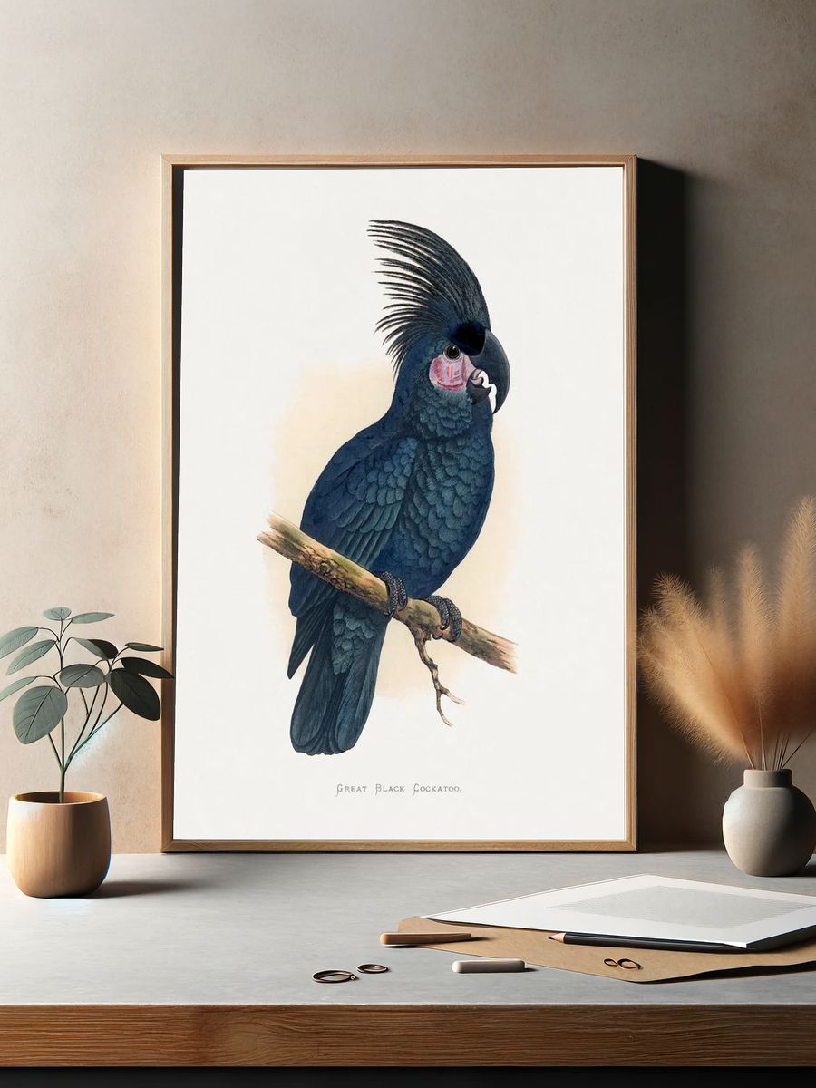 Great Black Cockatoo — Botanical Print. — room view 2