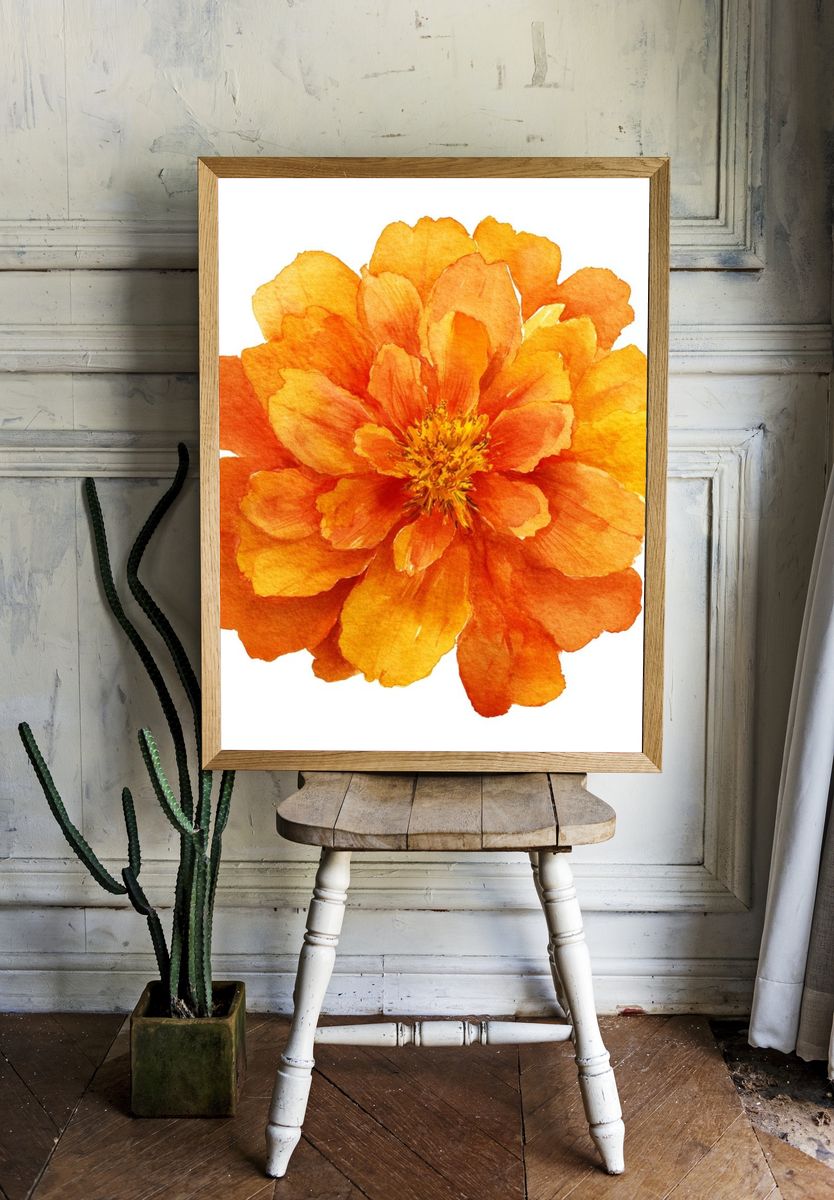 Vibrant Orange Flower — Watercolor Print. room preview