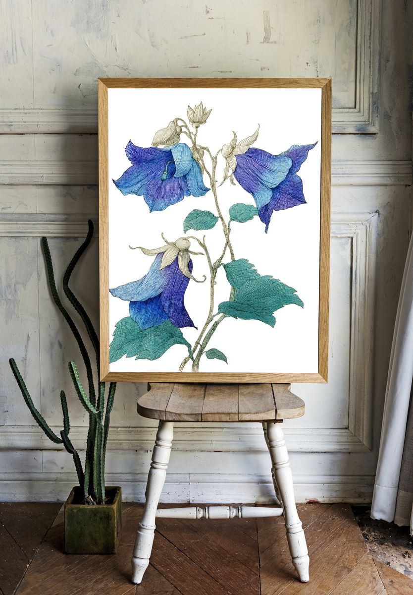 Bluebell Floral Illustration Poster. room preview