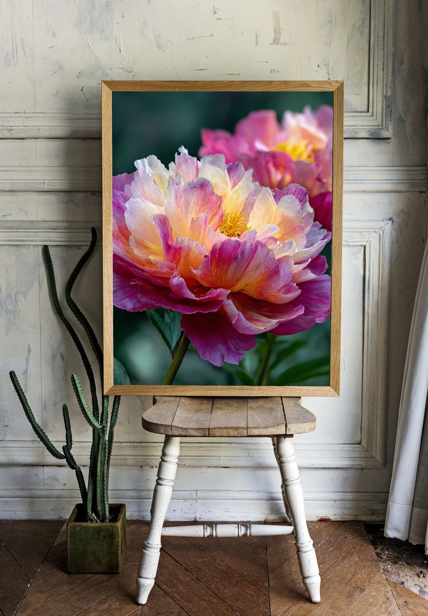 Vibrant Peony Floral Print room preview
