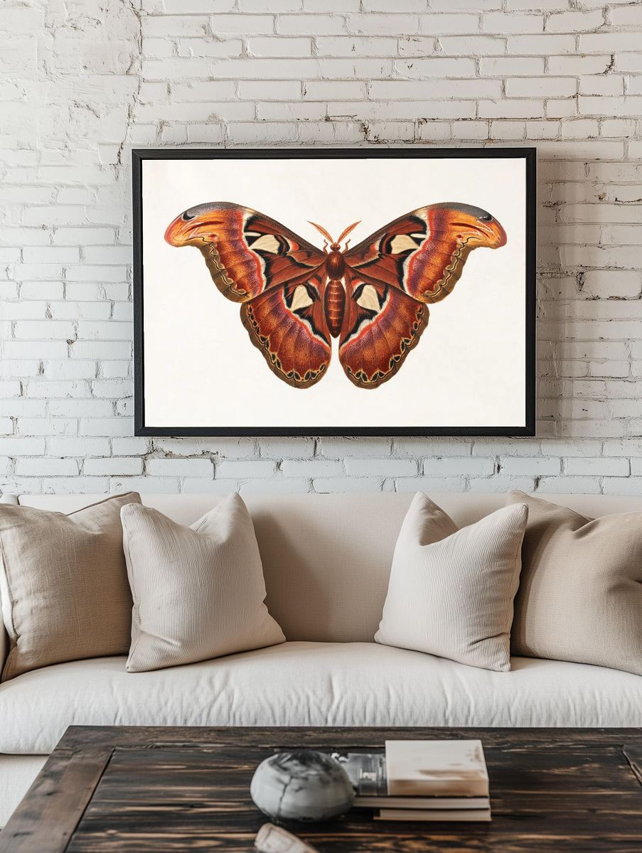 Colorful Butterfly Illustration Poster. room preview