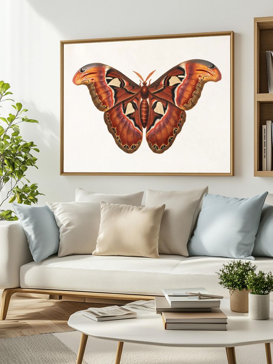 Colorful Butterfly Illustration Poster. — room view 2