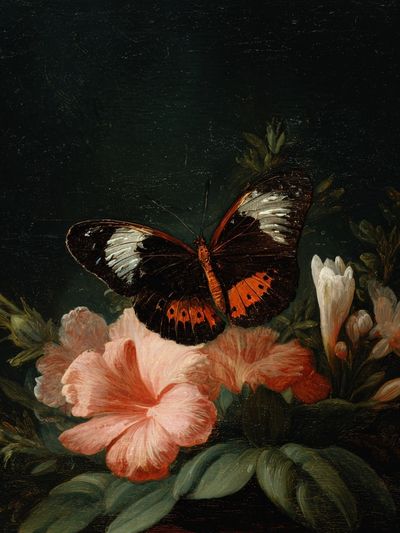 Butterfly and Blossoms Fine-Art Print. poster