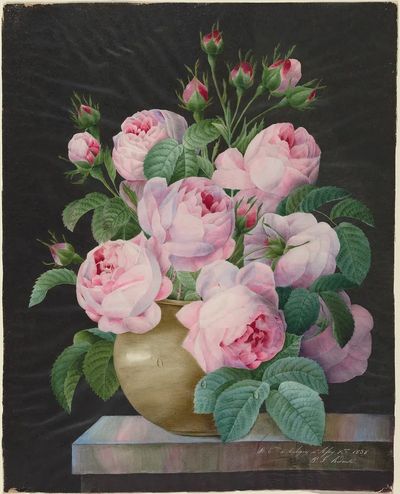 Pink Roses in a Vase — Fine Art Print. poster print