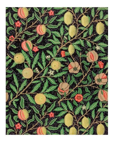 Botanical Fruits Pattern Poster. poster print