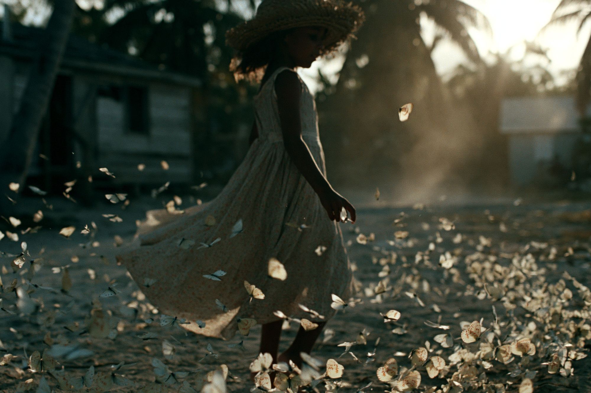 Butterfly Dance Photography Poster. poster — photography art
