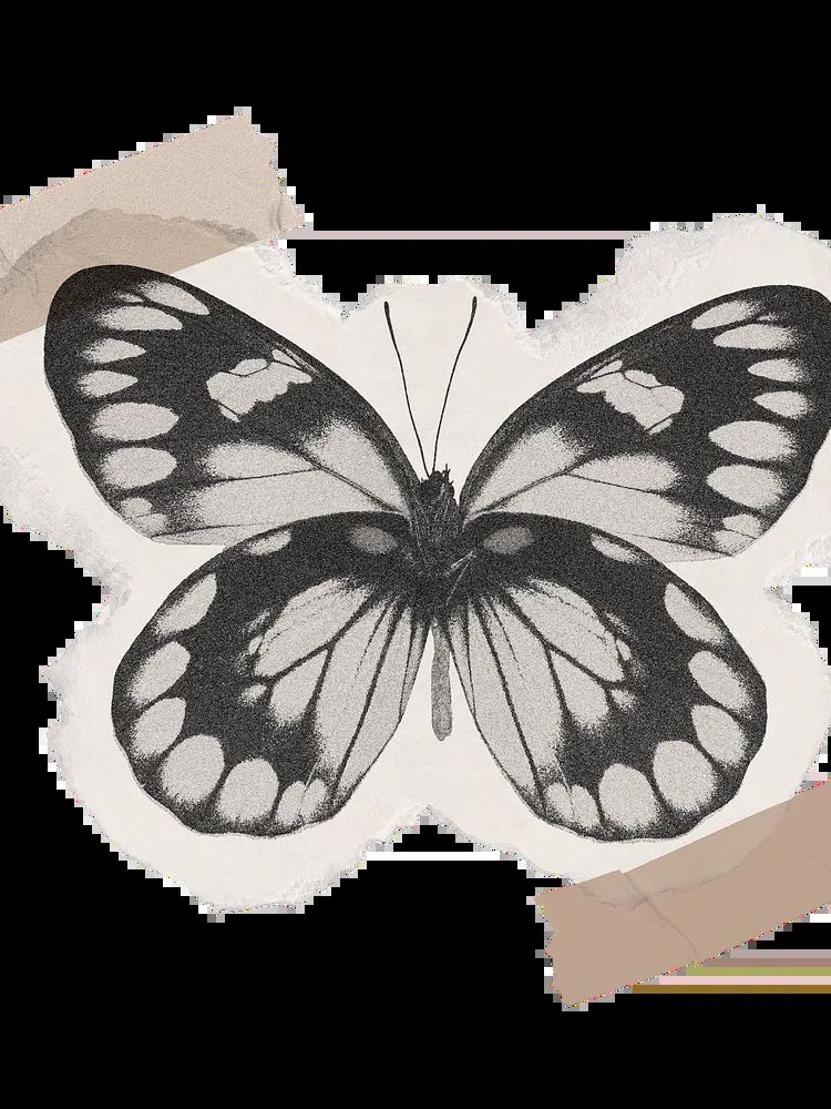Monochrome Butterfly — Vintage Print. poster detail
