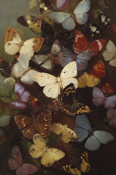 Colorful Butterflies — Fine Art Print. poster print