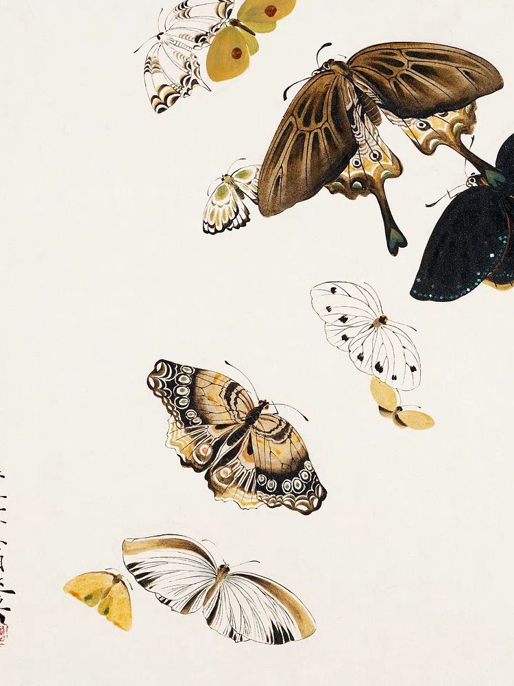 Butterfly Collection — Fine Art Print. poster — fine-art art