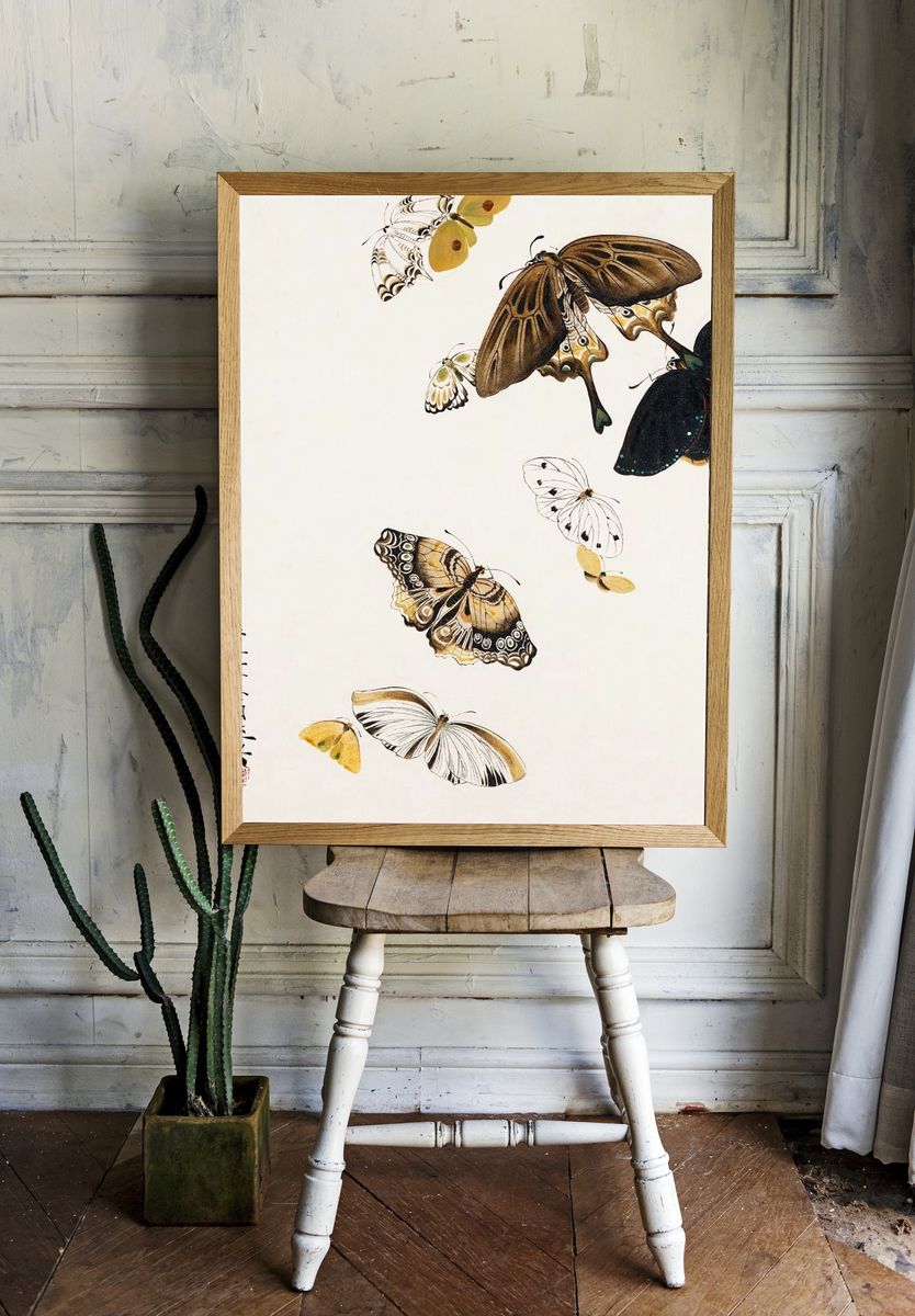 Butterfly Collection — Fine Art Print room preview