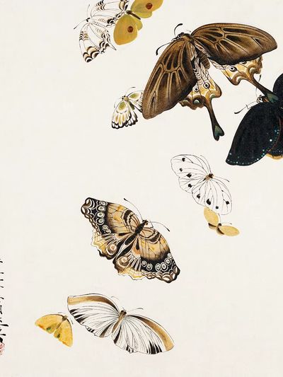 Butterfly Collection — Fine Art Print. poster print