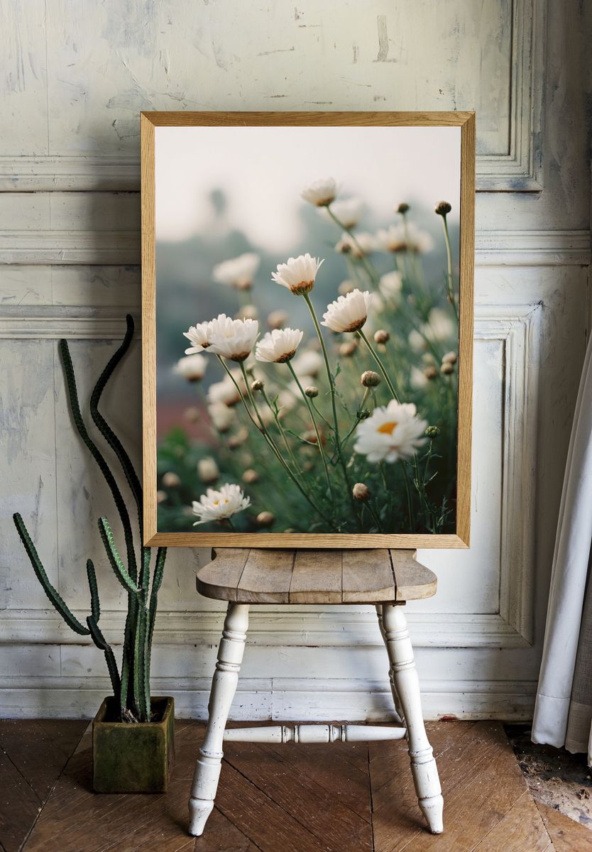 White Daisy Floral Photography Poster room preview