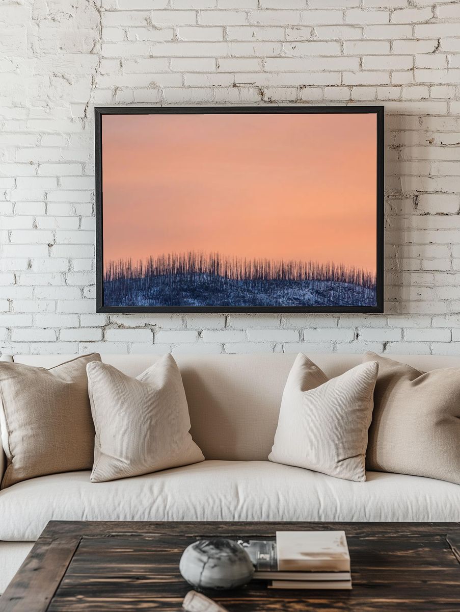 Burnt Forest at Sunset Poster. — room view 1