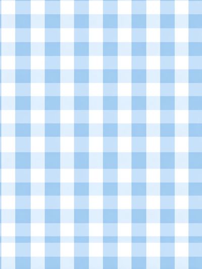 Blue Gingham Pattern Poster. poster