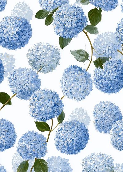 Blue Hydrangea Floral Print. poster print