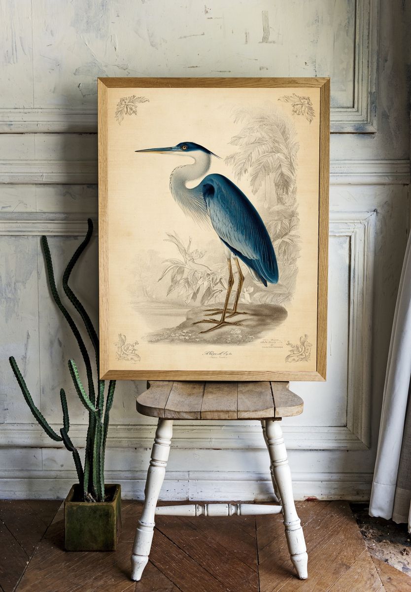 Blue Heron — Vintage Print room preview