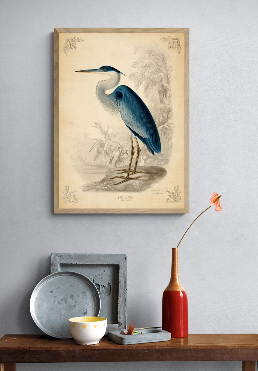 Blue Heron — Vintage Print. — room view 3