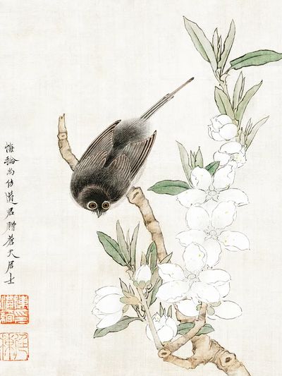 Bird on Blossom Branch — Illustration Print. poster