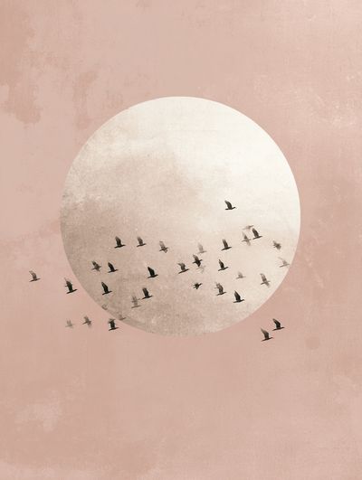 Birds in Flight — Minimalist Print. poster