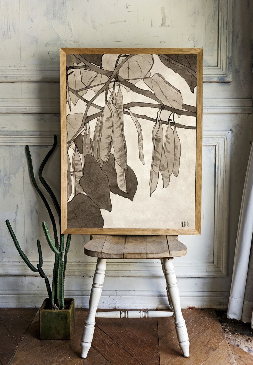 Botanical Illustration of Pea Pods — Fine Art Print room preview