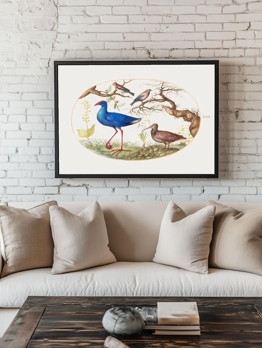 Colorful Birds in Nature — Vintage Print. room preview