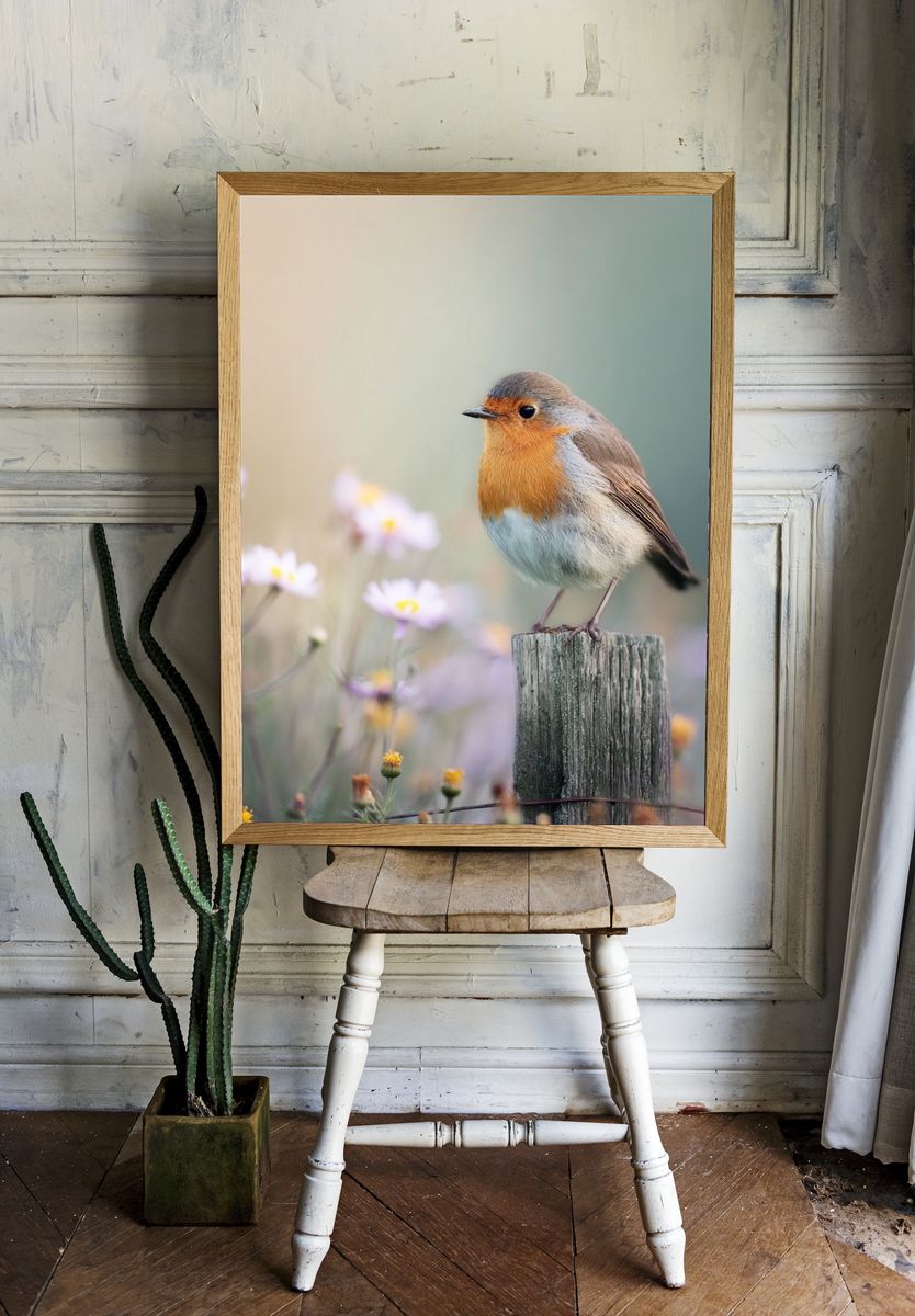 Robin Bird in Bloom — Photography Print. — room view 1