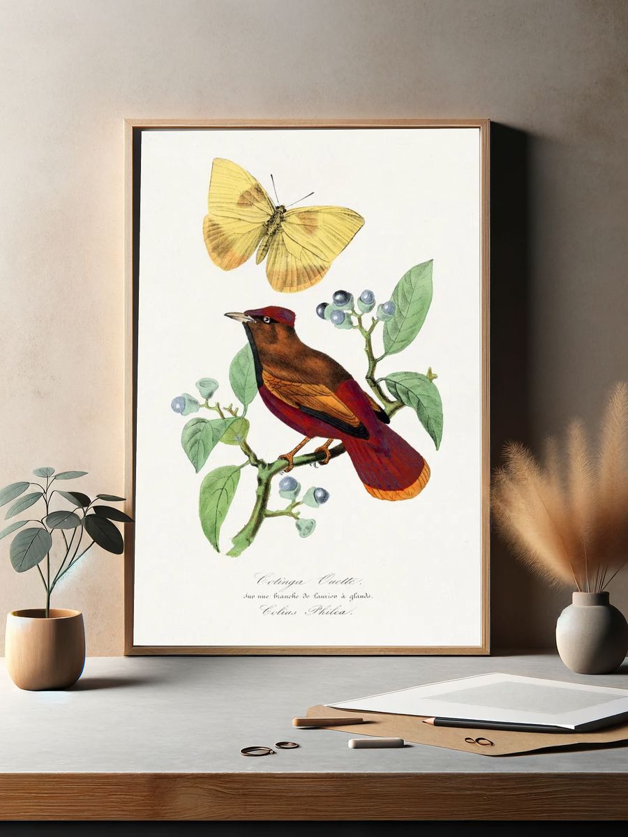 Colibri Bird and Butterfly — Botanical Print. — room view 2