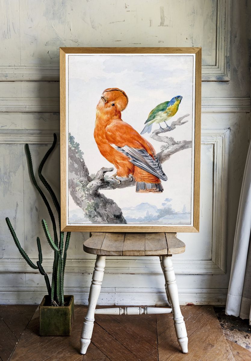 Colorful Birds — Vintage Print. — room view 1
