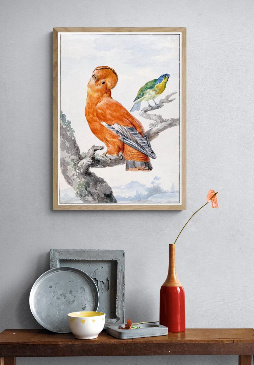 Colorful Birds — Vintage Print. — room view 3