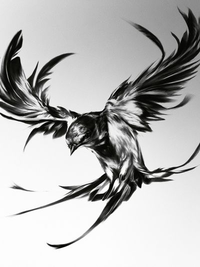 Soaring Bird Ink Poster. poster