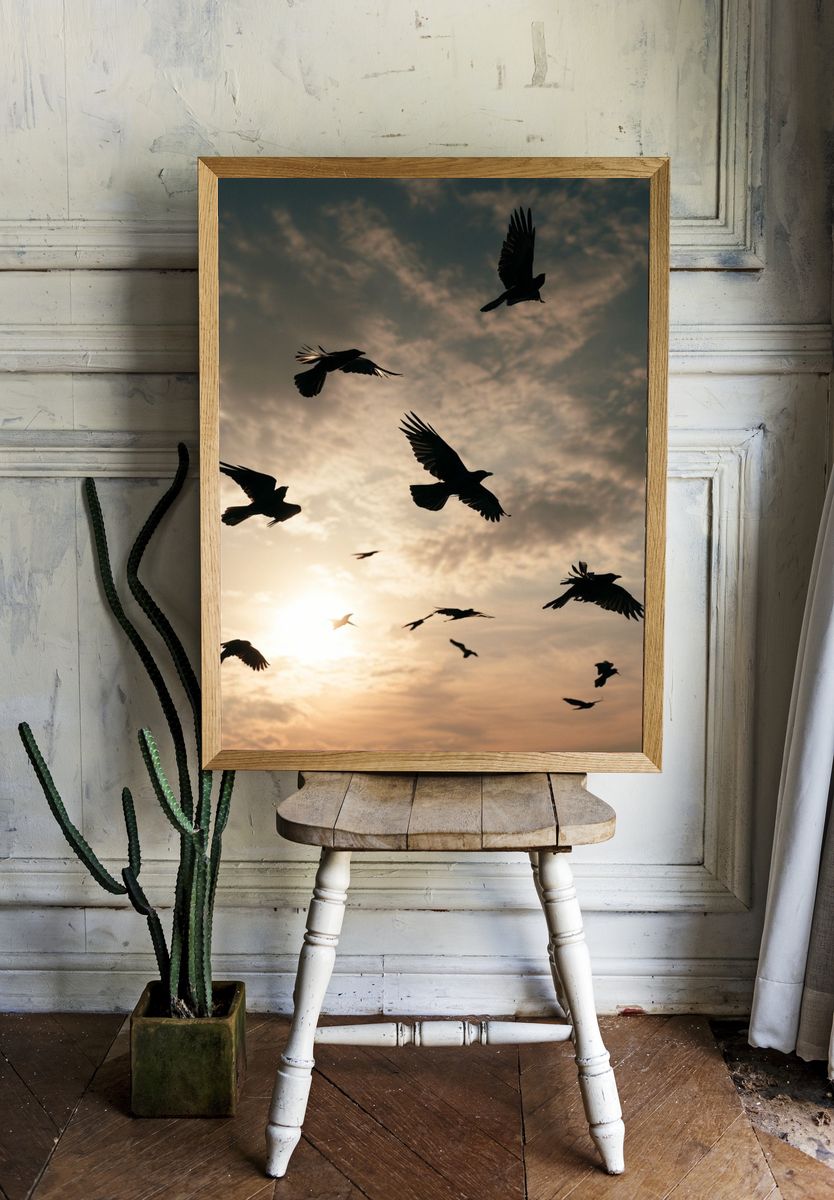 Birds at Sunset Photography Poster. — room view 1