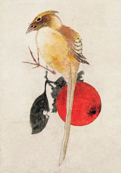 Bird on a Branch — Watercolor Print. poster
