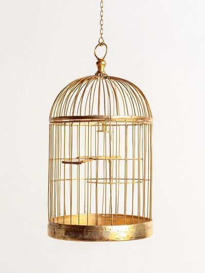 Golden Birdcage Minimalist Print.